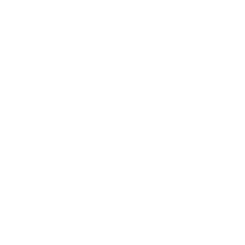 Nelfo